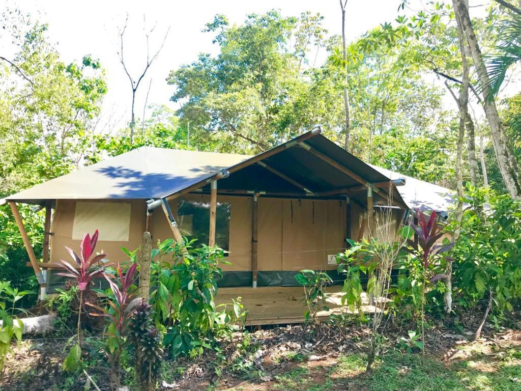 El Pulpo Safari Lodge أوخوتشال المظهر الخارجي الصورة