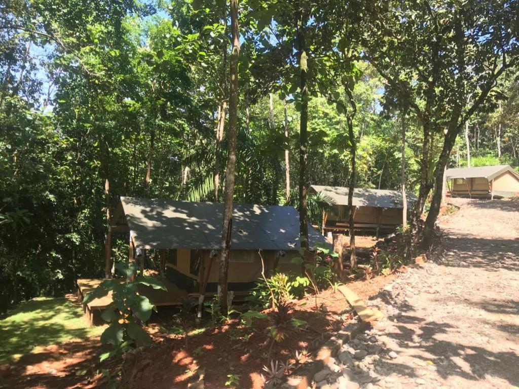 El Pulpo Safari Lodge أوخوتشال المظهر الخارجي الصورة