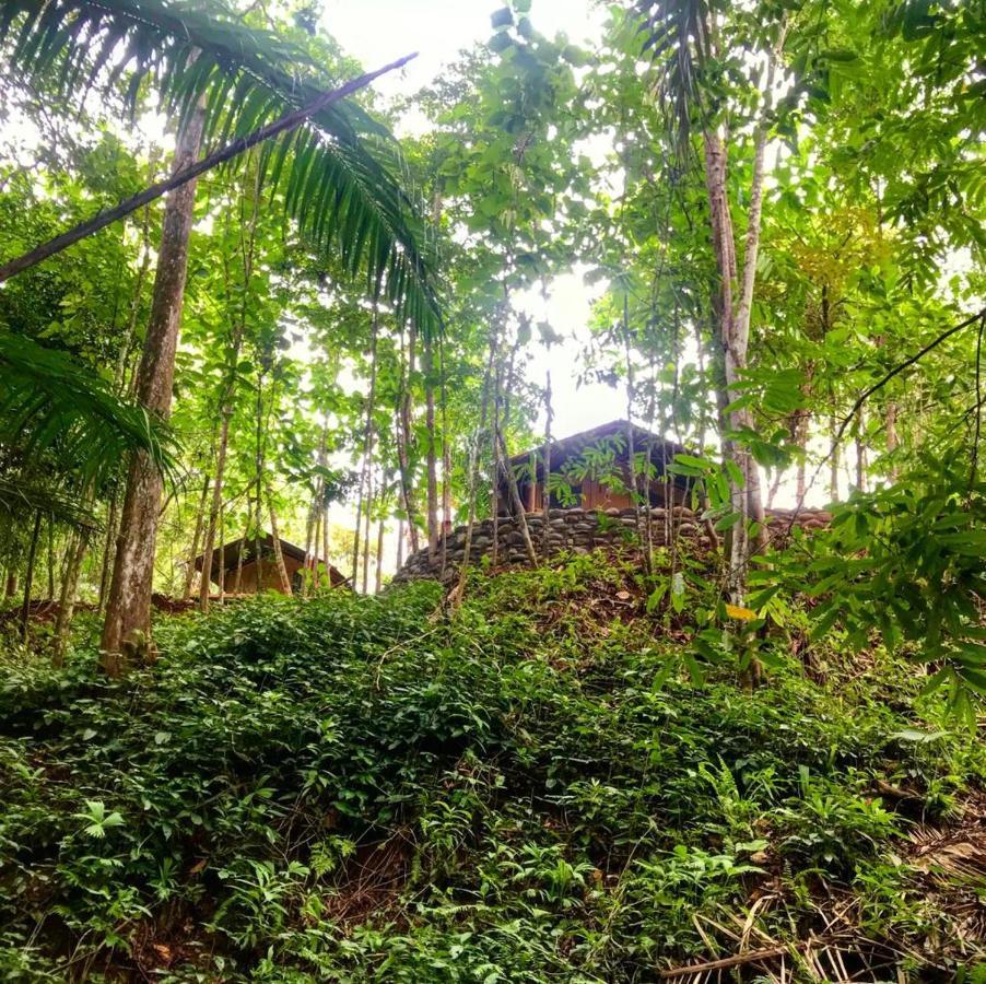 El Pulpo Safari Lodge أوخوتشال المظهر الخارجي الصورة