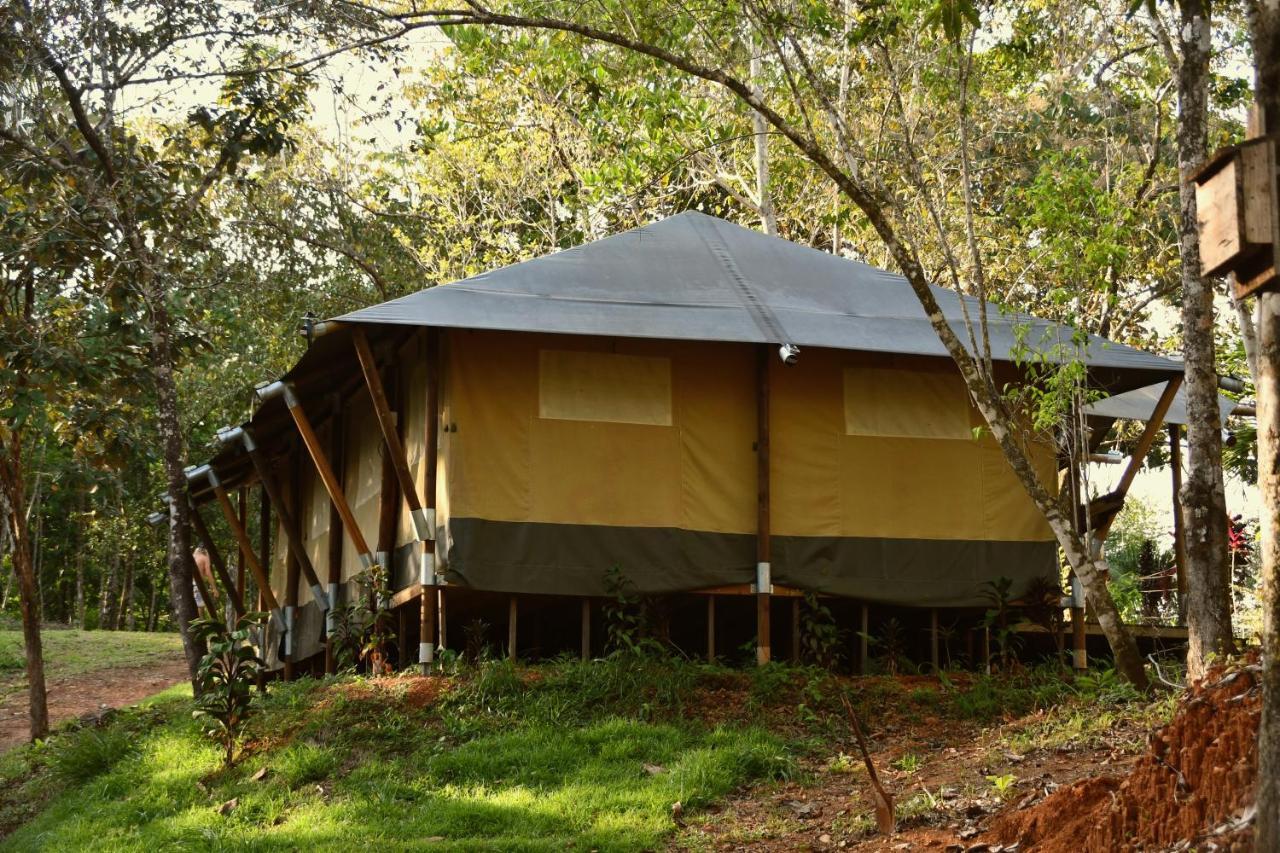 El Pulpo Safari Lodge أوخوتشال المظهر الخارجي الصورة