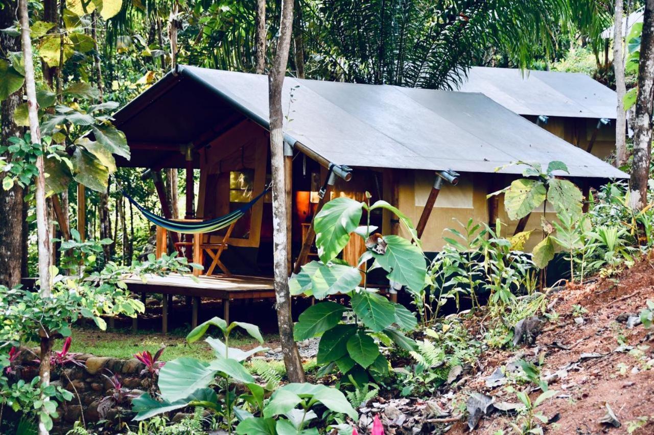 El Pulpo Safari Lodge أوخوتشال المظهر الخارجي الصورة