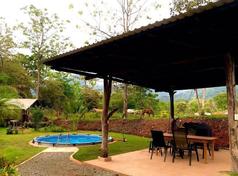 El Pulpo Safari Lodge أوخوتشال المظهر الخارجي الصورة